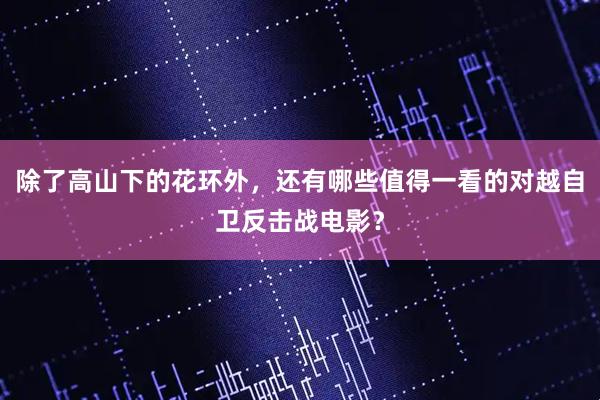 除了高山下的花环外，还有哪些值得一看的对越自卫反击战电影？