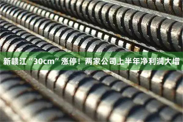新赣江“30cm”涨停！两家公司上半年净利润大增