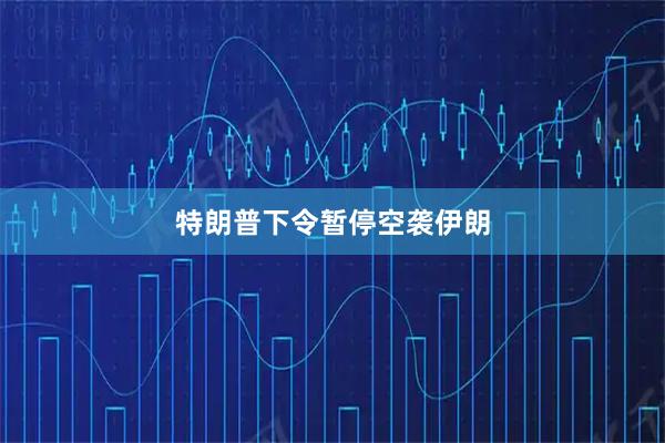 特朗普下令暂停空袭伊朗
